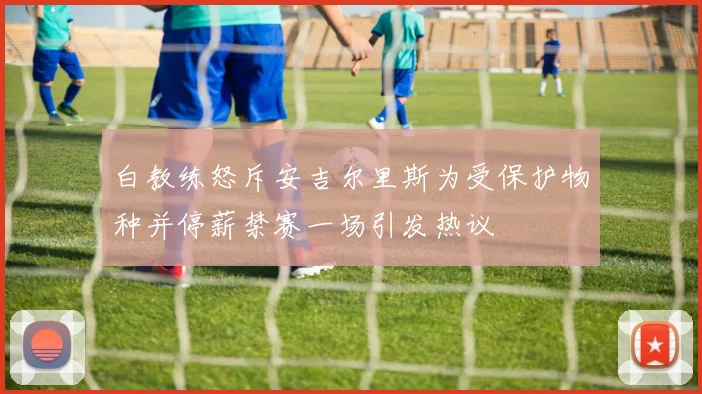 白教练怒斥安吉尔里斯为受保护物种并停薪禁赛一场引发热议