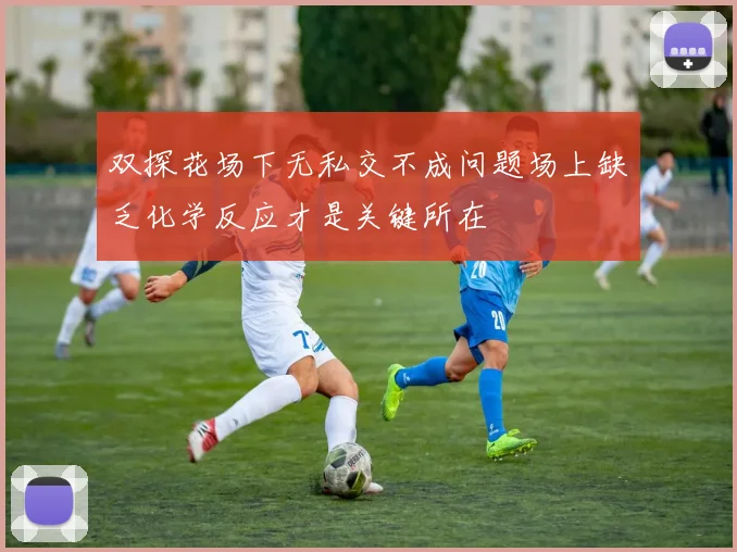 双探花场下无私交不成问题场上缺乏化学反应才是关键所在